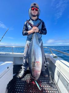 Big Tuna catches in the LA sun!