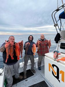 Rockfish Fishing paradise in LA!