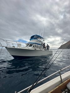 Catch waves and fish in Los Angeles