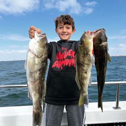 Calico Bass Hooked on Los Angeles waters!