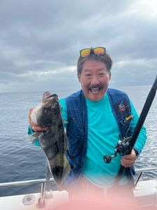 Reel Tautog thrill in Los Angeles!