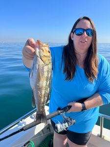 Los Angeles Calico Bass fishing: pure joy!