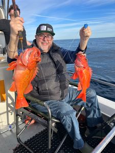 LA waters, endless Rockfish fishing!