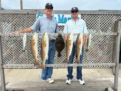 Five redfish and spotted weakfish caught during a fishing tour in Corpus Christi