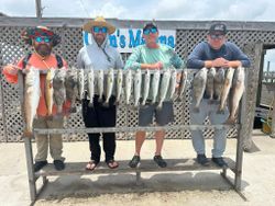 Four redfish and one black drum caught in Corpus Christi during fishing