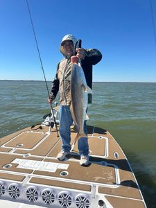 Redfish caught during fishing trip in Corpus Christi