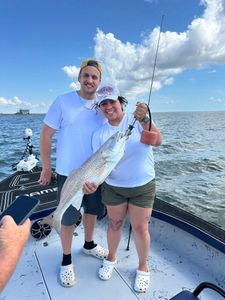 Redfish caught during fishing tours in Corpus Christi