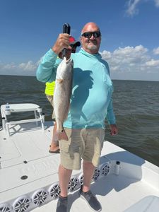 Redfish caught on fishing tour in Corpus Christi