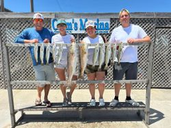 Four redfish and spotted weakfish caught by four people on a fishing tour in Corpus Christi