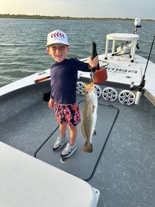 Spotted Weakfish caught while fishing in Corpus Christi