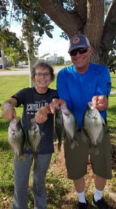5 crappie fish caught while fishing in FL