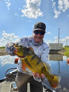 A single fishing enthusiast in Florida