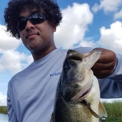 One person fishing in Florida