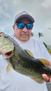 A person fishing in FL