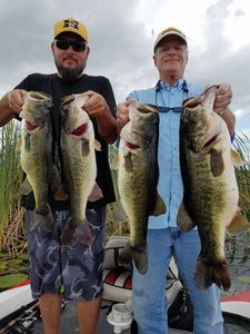 4 largemouth bass caught while fishing in FL