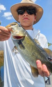 Angler fishing in Florida