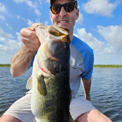Largemouth Bass caught while fishing in FL