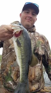 Largemouth Bass caught in FL