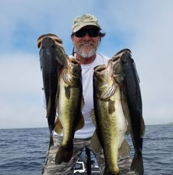 2 largemouth bass caught in Florida