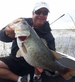 A largemouth bass caught while fishing in FL.
