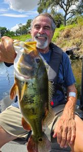 Angler catching Peacock Bass in South Bay