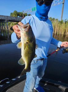 Scenic fishing spot in Florida