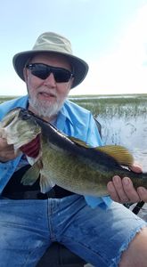 Single angler fishing in South Bay