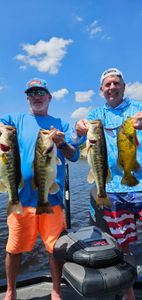 Successful fishing trip in South Bay FL showing multiple bass and peacock bass catch