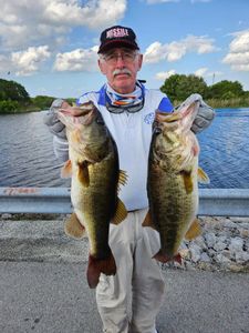 Two Florida Bass fish caught fishing in South Bay