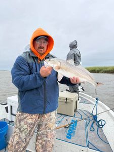 Redfish caught while fishing in GA