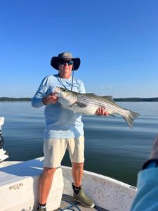 Striped bass being caught while fishing in GA