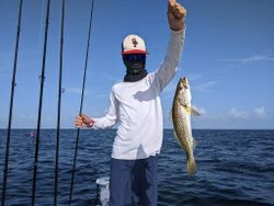Florida's Best Sea Trout Fishing