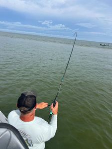 Scenic view of Crystal River, Florida