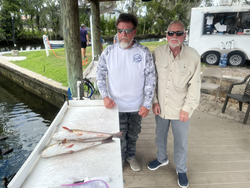 Great day on the water using deep sea light tackle technique!