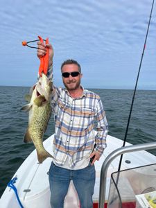 A gag grouper fish caught in Crystal River