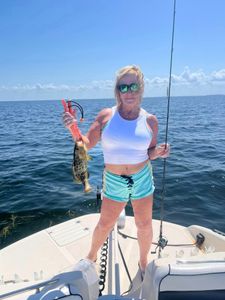 A gag grouper fish caught in Florida while fishing