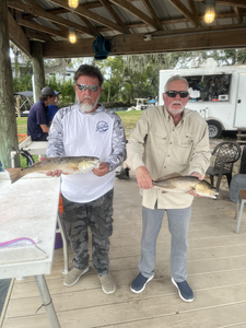 Great redfish action today using light tackle techniques!