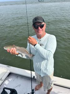 Redfish fishing in Crystal River