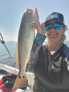 Caught a 18-inch redfish while fishing in Crystal River