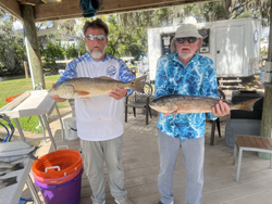 Nice redfish using light tackle in Crystal River!