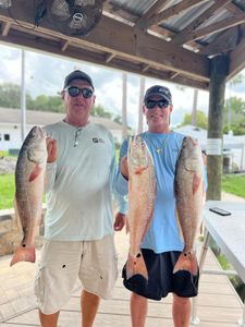 Three redfish caught during a fishing and hunting trip in FL