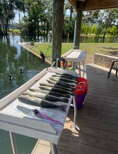 Scenic fishing in Florida