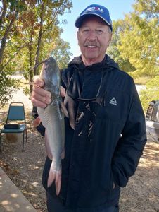 Fun Packed Fishing Charter For Catfish