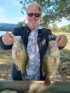 Crappies Fishing In Texas
