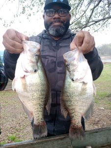 Two white crappie fish caught in Emory