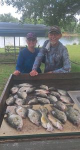Fresh caught crappie displayed in wooden cleaning station at Emory TX fishing location