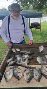 Fresh caught crappie displayed in wooden box after successful fishing trip in Emory TX