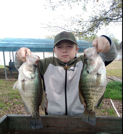 Two small fish caught at Emory location while fishing