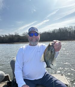 Freshly caught crappie being held up on a fishing boat at Lake Fork in Emory, Texas