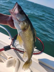 Fishing outing in OH